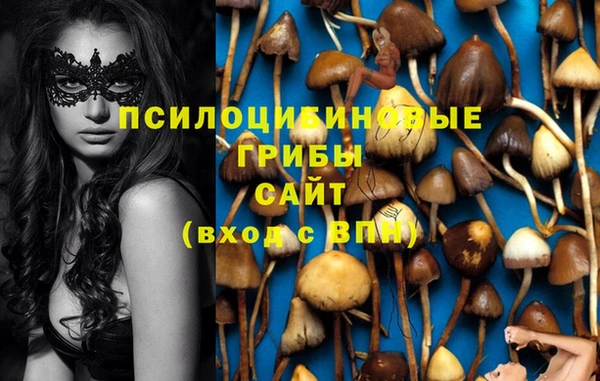 а пвп мука Алексеевка