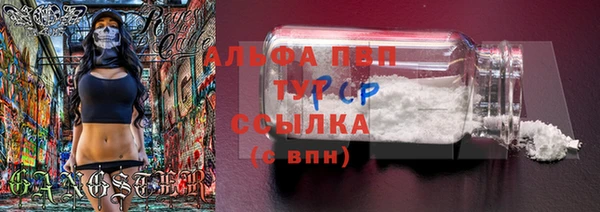 ПСИЛОЦИБИНОВЫЕ ГРИБЫ Абаза