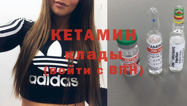 ПСИЛОЦИБИНОВЫЕ ГРИБЫ Абаза