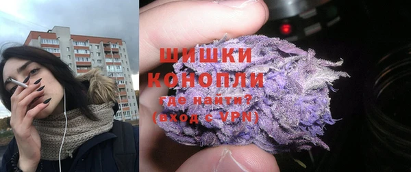 ПСИЛОЦИБИНОВЫЕ ГРИБЫ Абаза