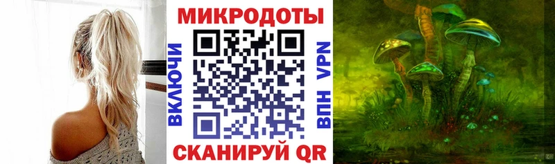 где найти   Зерноград  Галлюциногенные грибы GOLDEN TEACHER 